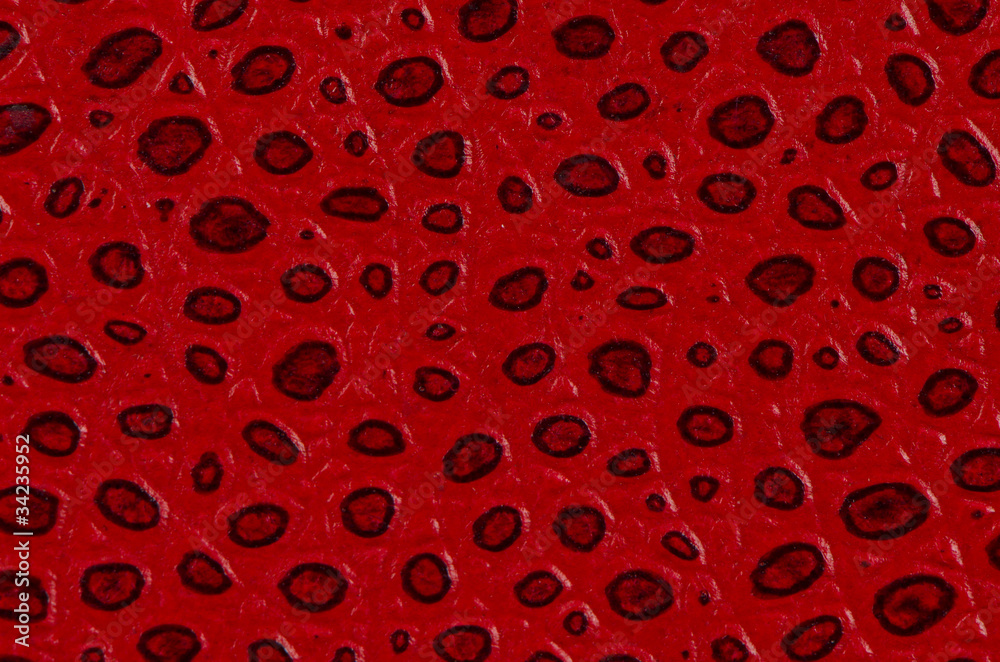 Red leather book cover detail Red leather book cover detail
