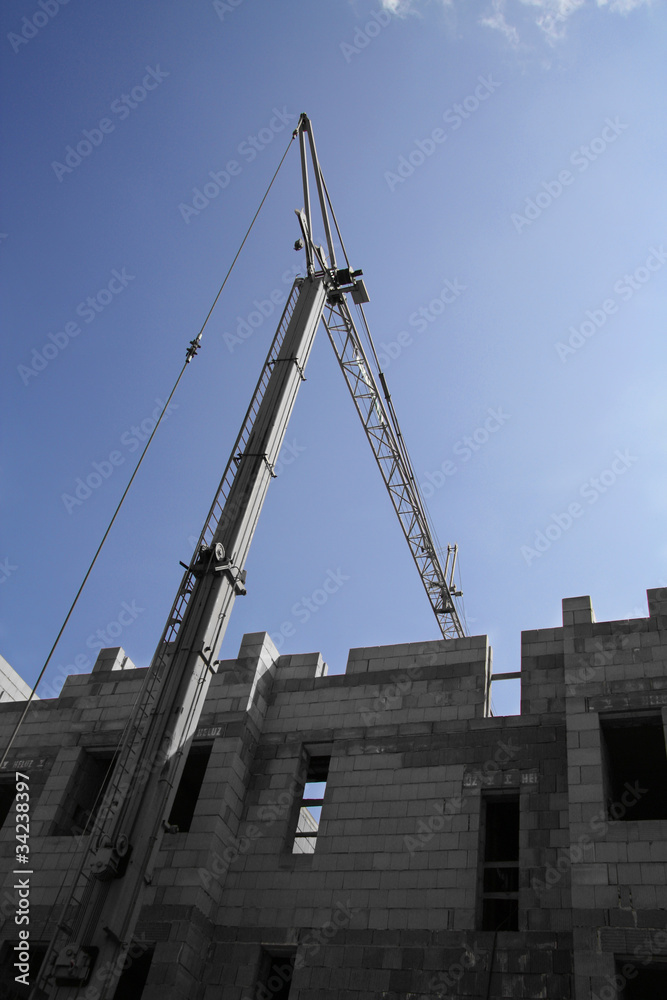 Fototapeta premium crane