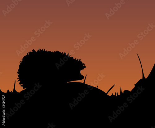 Hedgehog at sunset