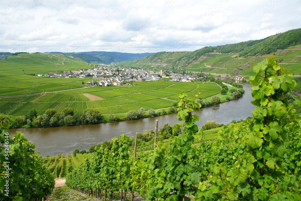 Naklejka premium Trittenheim an der Mosel