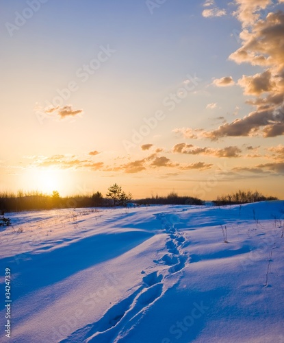 winter evening © Yuriy Kulik