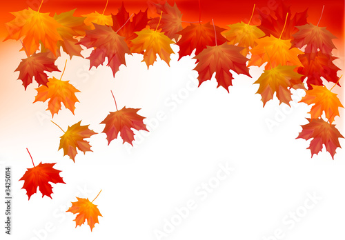 Autumn background with colorful leafs. Vector illustration.