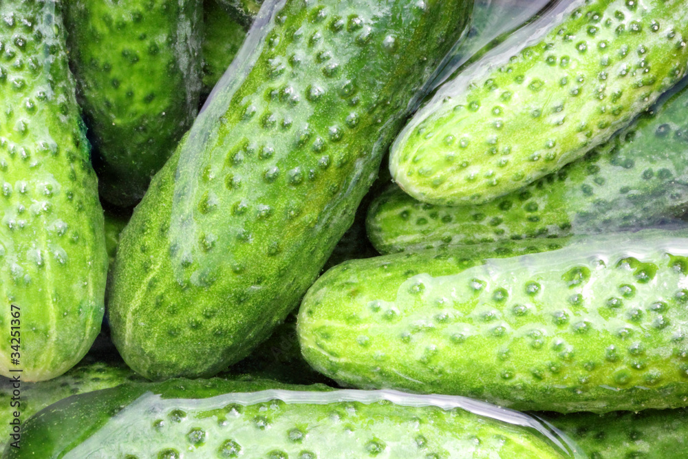 some cucumbers in the water some cucumbers in the water
