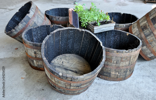 Charred oak  barrels at garden center © alisonhancock