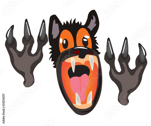 Bared mouth of the wolf on white background photo