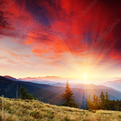 Summer landscape in mountains with the sun