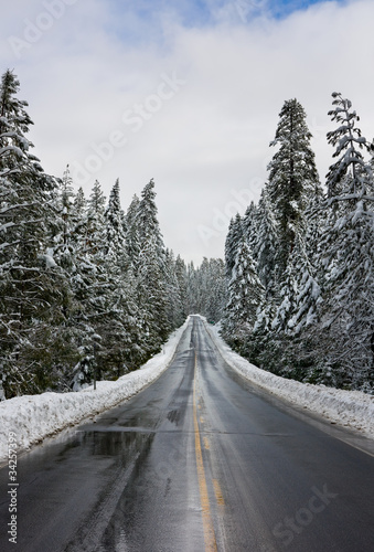 Road through snowy forest © Andy
