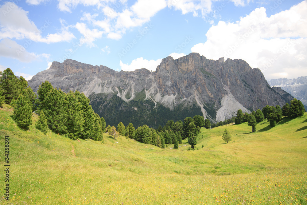 pascoli all'Alpe di Cisles - Val Gardena