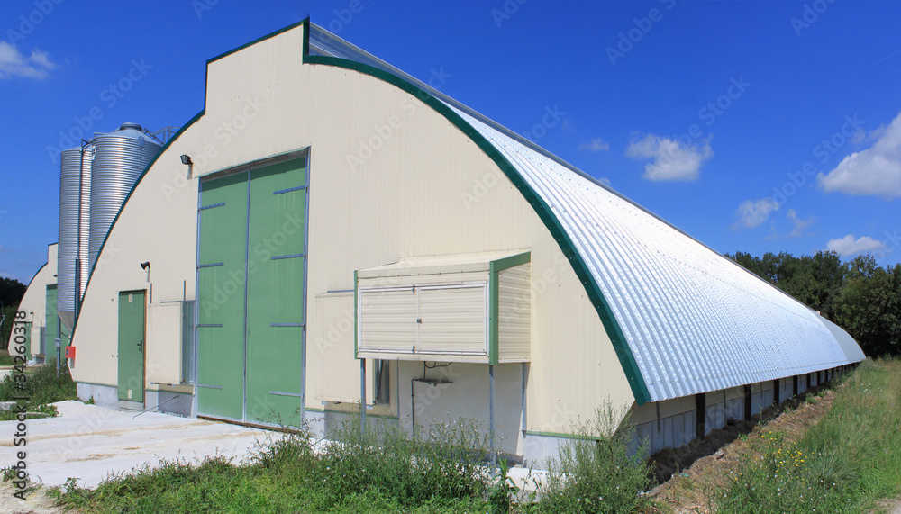 Obraz premium hangar pour élevage de poulets
