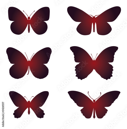 Schmetterlinge Silhouette / butterfly outline © v.hafner