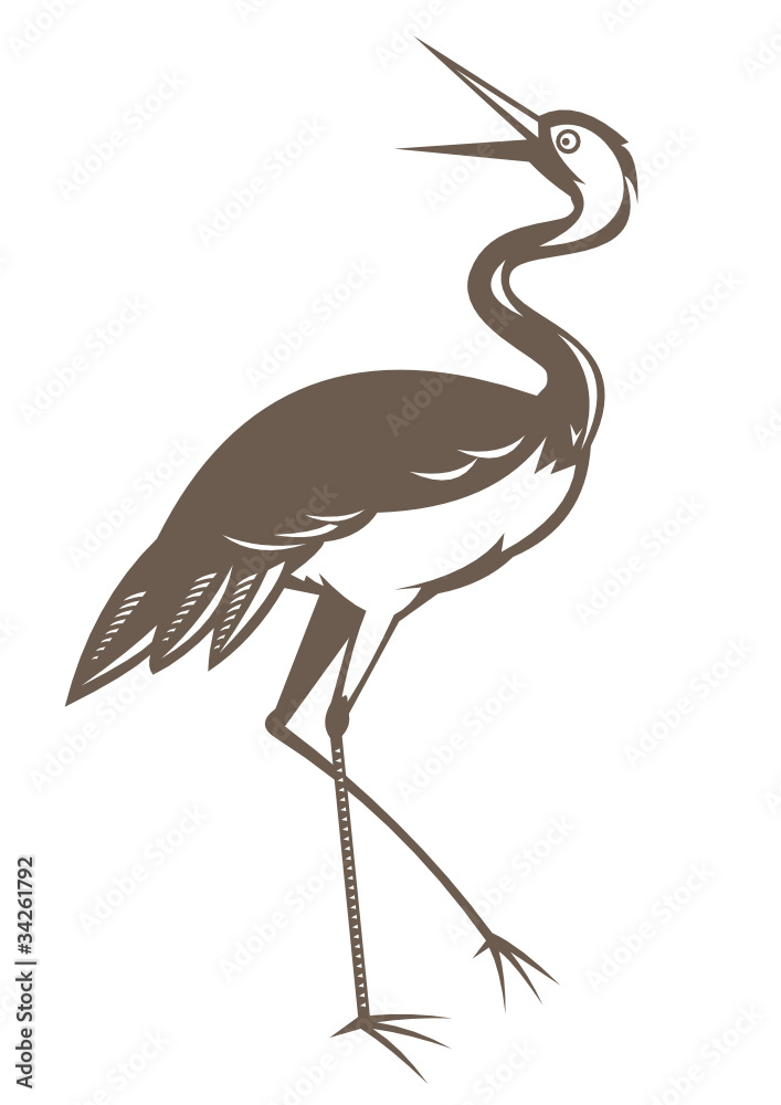 Obraz premium Crane looking up isolated background