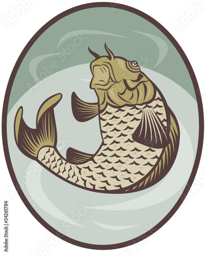 koi carp fish jumping