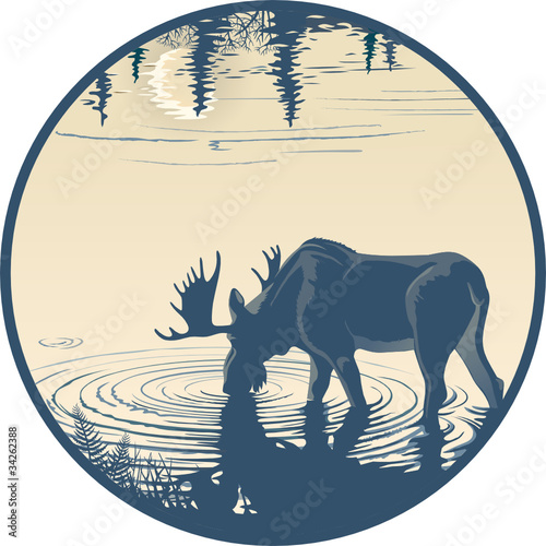 Elk in the drinking water
