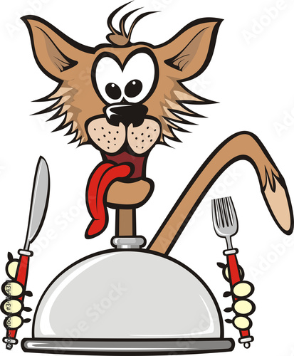 hungry cat and dinner