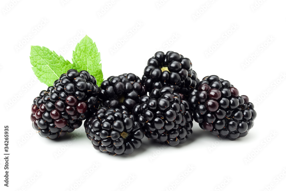 blackberries isolated blackberries isolated