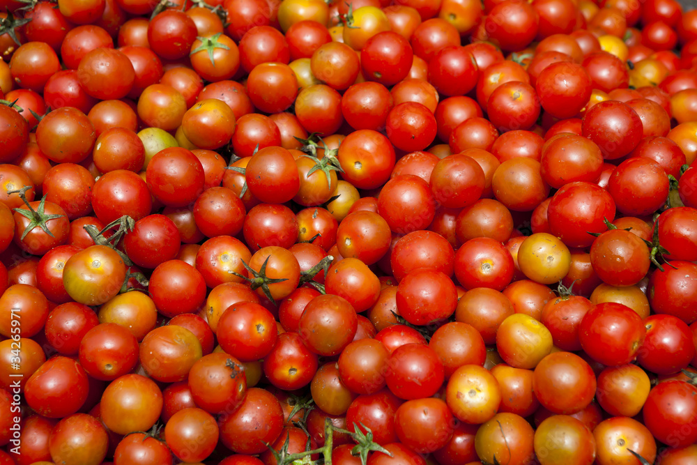 Tomates Tomates