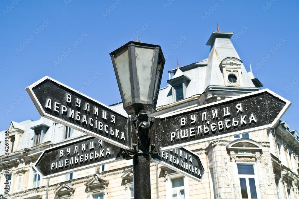 Obraz premium Pointer