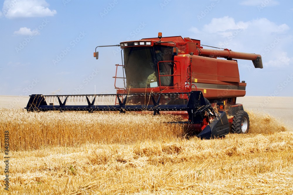 Fototapeta premium harvester in the field of gold wheat against the blue sky