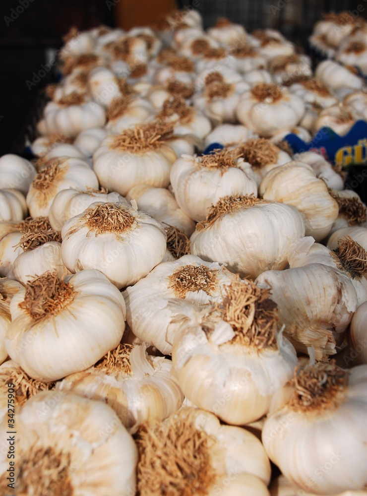 Garlic