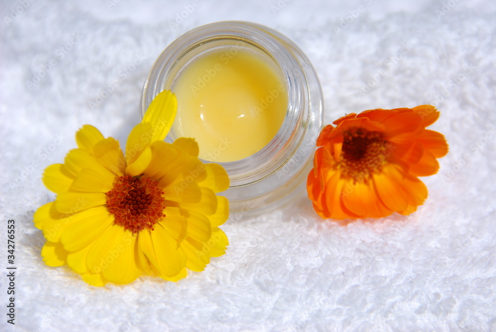 Ringelblumensalbe (Calendula )Herstellung Naturkosmetik Stock Photo | Adobe  Stock