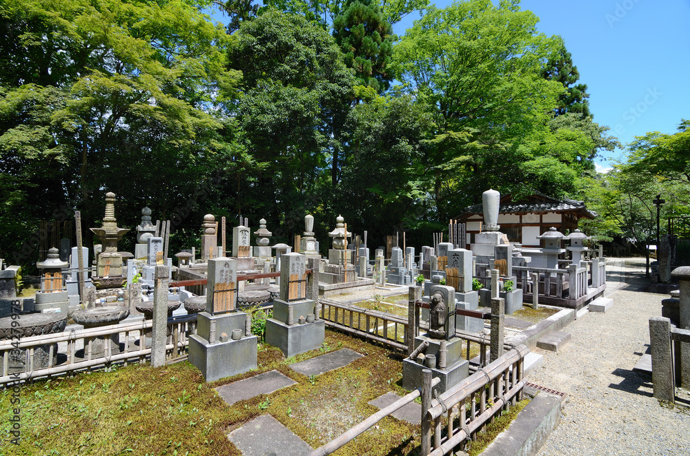 Ancient Japanese Cemetery Ancient Japanese Cemetery