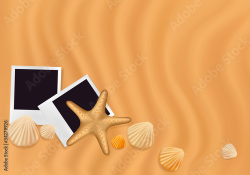 Sea shells with photos on the sand. Vector illustration.