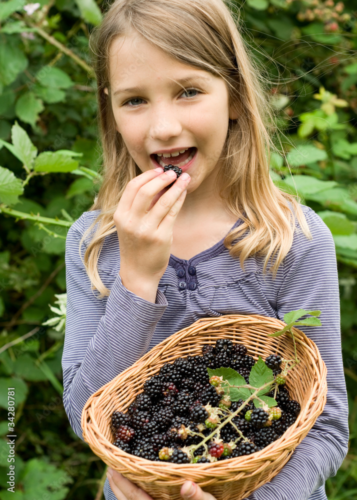 Blackberries foto de Stock Adobe Stock