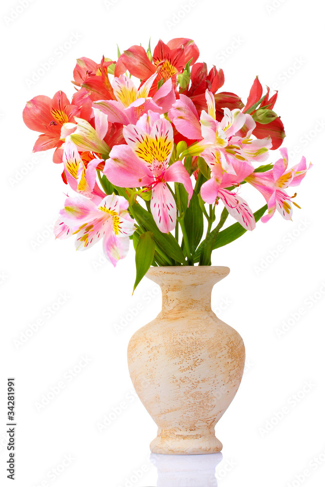 beautiful bouquet in vase isolated on white