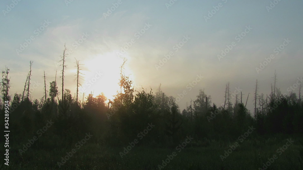 sunrise mist sunrise mist