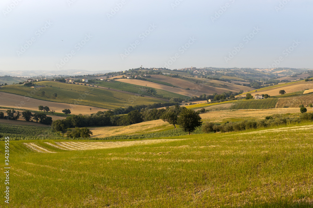 Marches (Italy) - Landscape at summer Marches (Italy) - Landscape at summer