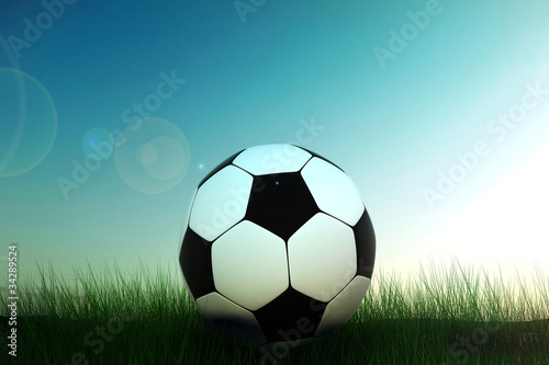 soccer ball in grass © aleksei kashin