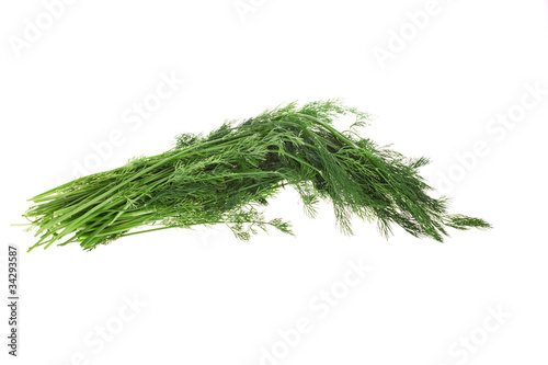 dill. Isolated object.