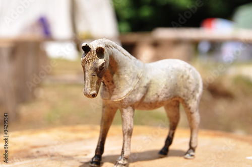 Fotografie horse2