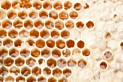Honeycombs.
