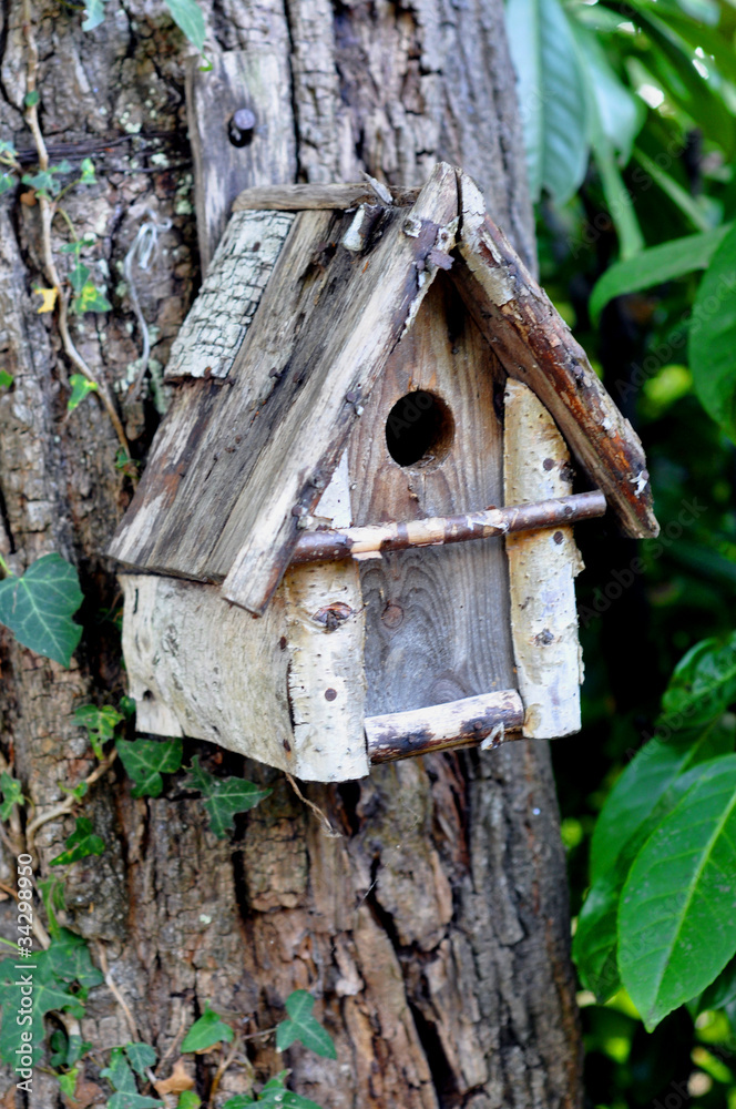 cabane à oiseau