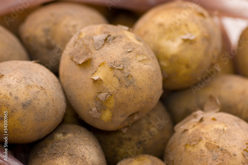 Potatoes isolated