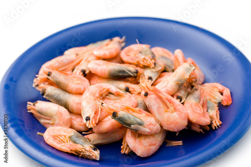 Shrimps