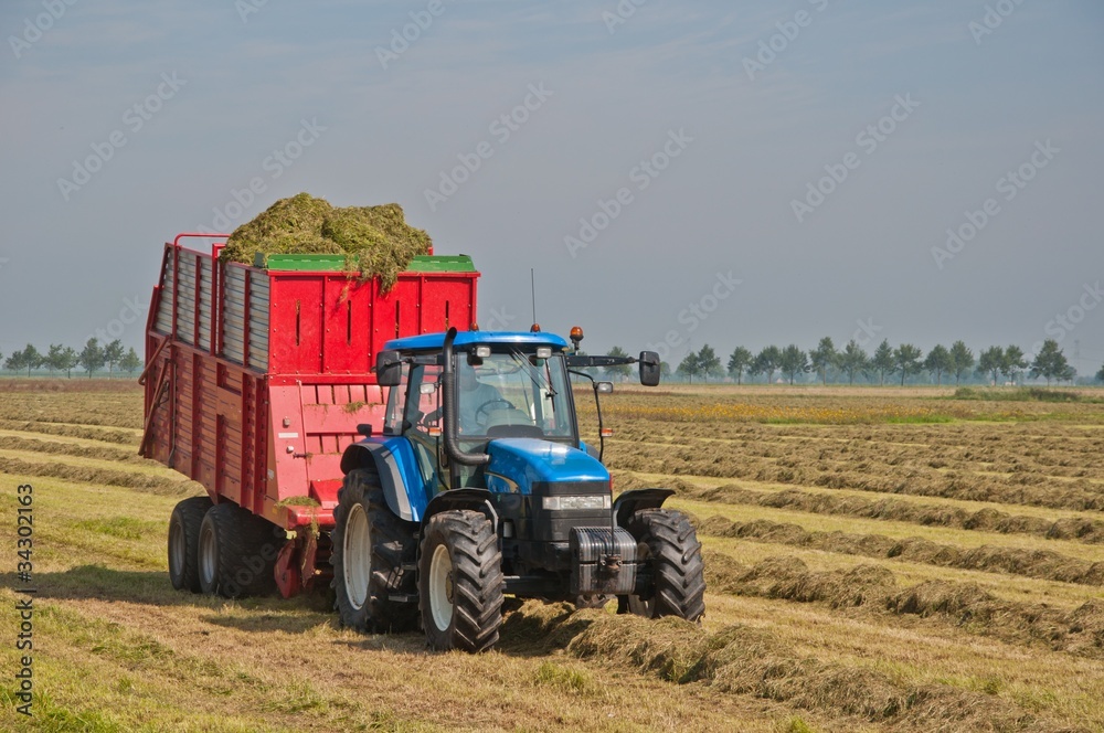 Fototapeta premium Collecting grass with the tractor and a silage wagon
