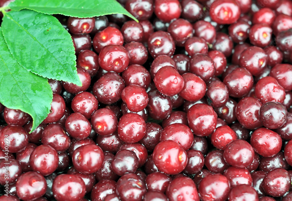 Cherry selection Cherry selection