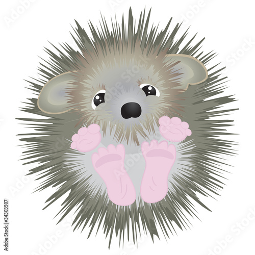 Cute little hedgehog - vector illustration