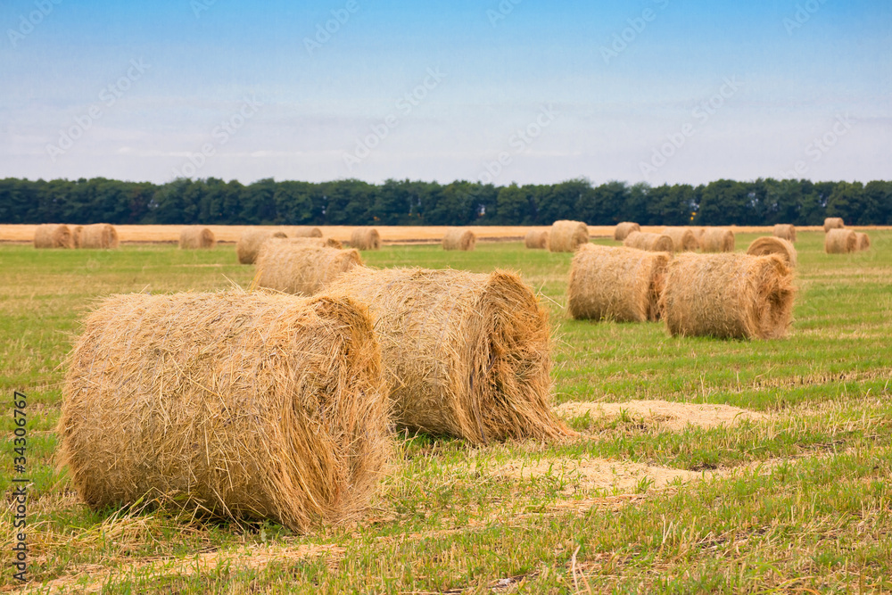 field with straw bale