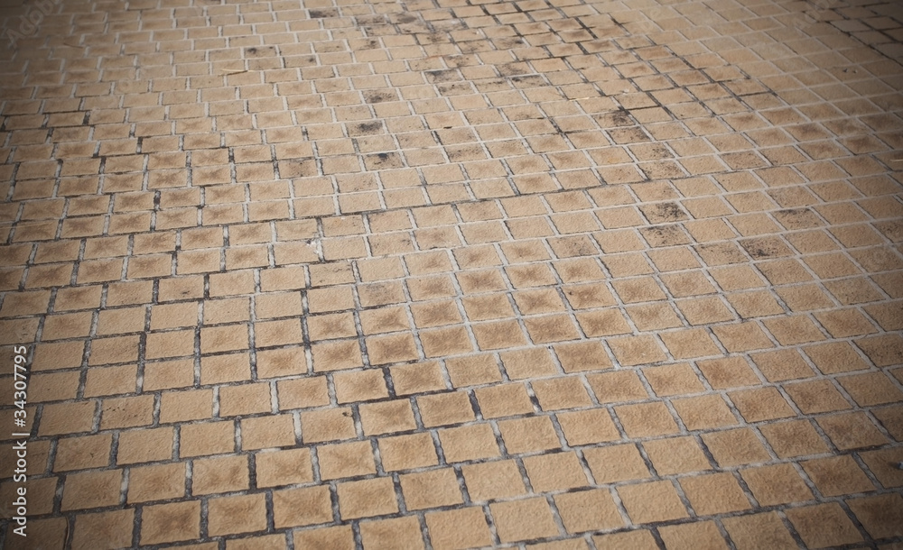 Brick pavement in a park