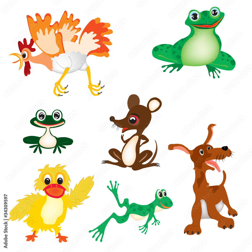 Wild and pets Wild and pets