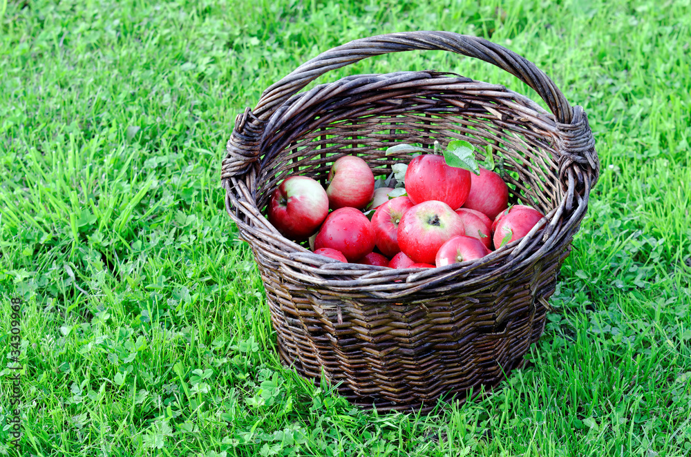 pommes rouges pommes rouges