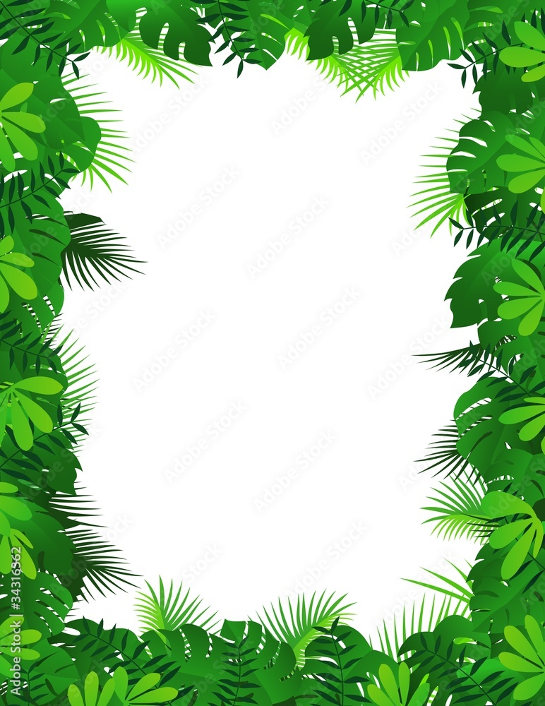 Forest background