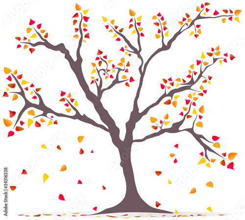 fashionable illustration  tree with falling leaves  autumn  conc