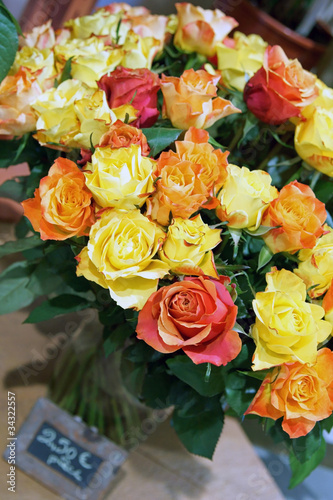 bouquet de roses colorées - rosaceae