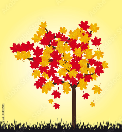 autumn tree