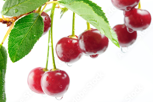 Cherries isolated on a white background