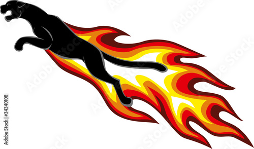 jaguar with flame